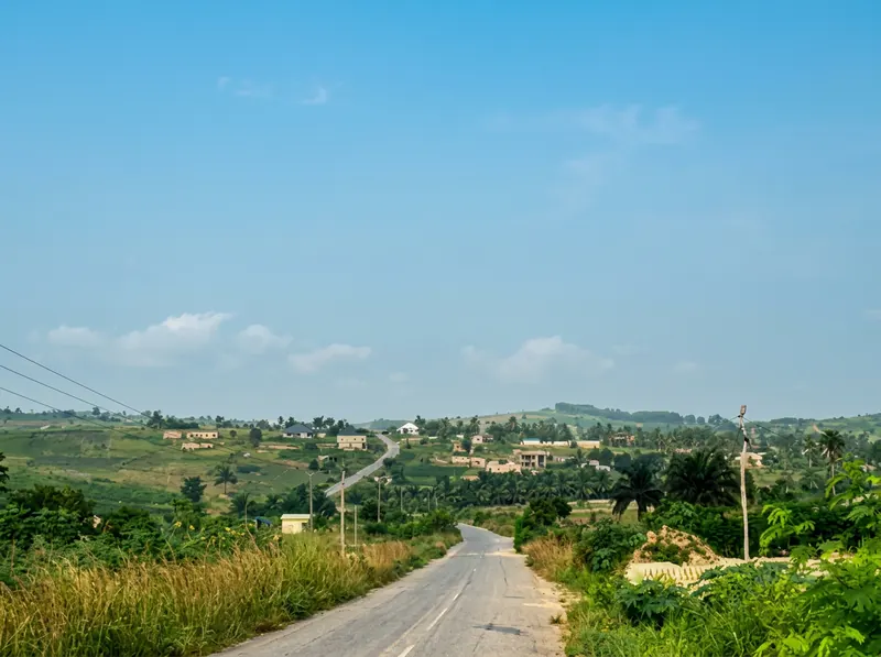 Established homes along the valley road