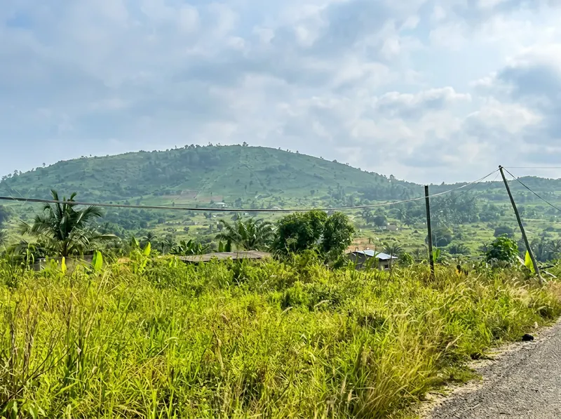 Rolling grasslands and distant mountains
