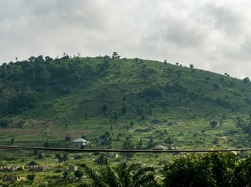 Lush green hills overlooking the estate